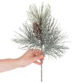 Rama de pino artificial con piñas, de invierno, 40 cm. | Floristik24.es