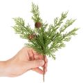 Rama de pino artificial con piñas, 28 cm, 6 unidades | Floristik24.es