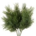 Floristik24 Rama de pino artificial para decoración invernal, 40 cm, 4 unidades