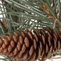 Rama de pino artificial con piñas, decoración para salón, 93 cm. | Floristik24.es