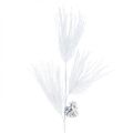 Floristik24 Rama de pino artificial con piñas brillo blanco L55cm