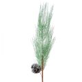 Floristik24 Rama de pino artificial brillo verde con conos L55cm