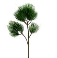 Floristik24 Rama de pino verde artificial 45cm