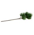 Floristik24 Rama de pino verde artificial 45cm