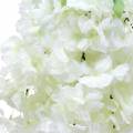 Floristik24 Rama de cerezo en flor con 5 ramas artificial blanca 75cm