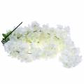 Floristik24 Rama de cerezo en flor con 5 ramas artificial blanca 75cm