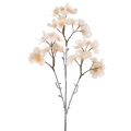 Floristik24 Geeist Branch Cherry Blossom Cream 51cm
