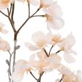 Floristik24 Geeist Branch Cherry Blossom Cream 51cm