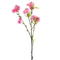 Floristik24 Rama de flor de cerezo rosa 100cm