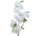 Floristik24 Rama de flor de cerezo blanca artificial 103 cm