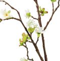 Floristik24 Rama de flor de cerezo blanca 95cm