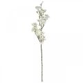 Floristik24 Rama de cerezo blanca decoración de primavera artificial rama decorativa 110cm
