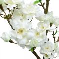 Floristik24 Rama de cerezo blanca decoración de primavera artificial rama decorativa 110cm
