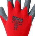 Floristik24 Kixx guantes de jardín de nailon talla 8 rojo, gris