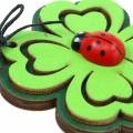 Floristik24 Hoja de trébol con escarabajo para colgar verde 7cm 6ud