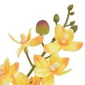 Floristik24 Pequeña orquídea Phalaenopsis artificial amarilla 30cm