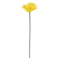 Floristik24 Flores artificiales Gerbera amarilla 45cm