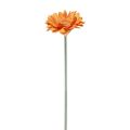 Floristik24 Flores artificiales Gerbera Naranja 45cm