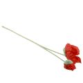 Floristik24 Flores artificiales amapola roja 67cm