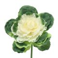 Floristik24 Repollo ornamental artificial blanco, verde 25cm 6pcs