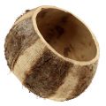 Floristik24 Cáscara de coco natural 5 piezas