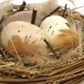 Floristik24 Cesta de Pascua con huevos Huevos de Pascua artificiales decoración de mesa Ø16cm