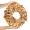 Corona de hongos de árbol, color natural, para decoración de puertas o paredes, 37 cm. | Floristik24.es