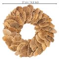 Corona de hongos de árbol, color natural, para decoración de puertas o paredes, 37 cm. | Floristik24.es