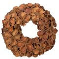 Floristik24 Corona de loto seco, corona decorativa para puerta, 35 cm