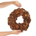 Corona de loto seco, corona decorativa para puerta, 35 cm | Floristik24.es