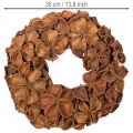 Corona de loto seco, corona decorativa para puerta, 35 cm | Floristik24.es