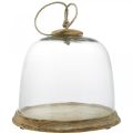 Floristik24 Campana de cristal con placa de madera, campana de pastel con mango de yute H19cm Ø22.5cm