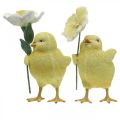Floristik24 Pollitos felices de Pascua, pollitos con flores, decoraciones de mesa de Pascua, pollitos decorativos H11/11.5cm, juego de 2
