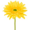 Floristik24 Flores artificiales de gerbera, amarillo brillante, flores de jardín, 47 cm, 6 unidades