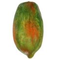 Floristik24 Papaya artificial 13cm y 14cm amarillo, verde 2 piezas