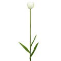 Floristik24 Tulipanes Artificiales Blanco-Verde 86cm 3pcs