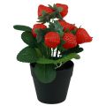 Floristik24 Planta de fresa artificial en maceta planta artificial 19cm
