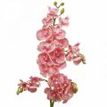 Floristik24 Orquídeas artificiales deco flor artificial orquídea rosa 71cm