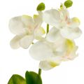 Floristik24 Orquideas artificiales Flor artificial orquidea blanca 20cm