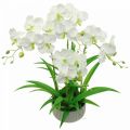 Floristik24 Orquideas artificiales flores artificiales en maceta blanca 60cm