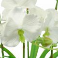 Floristik24 Orquideas artificiales flores artificiales en maceta blanca 60cm