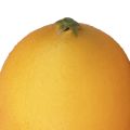 Floristik24 Chupete de comida decorativo limón artificial naranja 8,5cm