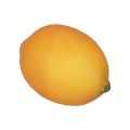Floristik24 Chupete de comida decorativo limón artificial naranja 8,5cm
