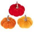 Floristik24 Juego de calabazas decorativas de terciopelo en tres colores, mini calabazas de 5 cm, 12 piezas.