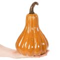 Calabaza de cerámica para decoración de mesa otoñal, 26 cm. | Floristik24.es