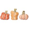 Floristik24 Juego de calabazas: Calabazas decorativas pequeñas para decoración otoñal, 5 cm, 3 piezas