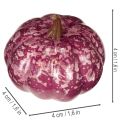 Juego de decoración de mini calabazas, decoraciones de otoño y Halloween, colores surtidos, 4 cm, 24 piezas | Floristik24.es