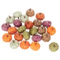 Juego de decoración de mini calabazas, decoraciones de otoño y Halloween, colores surtidos, 4 cm, 24 piezas | Floristik24.es