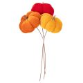 Calabaza decorativa en