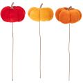 Calabaza decorativa en